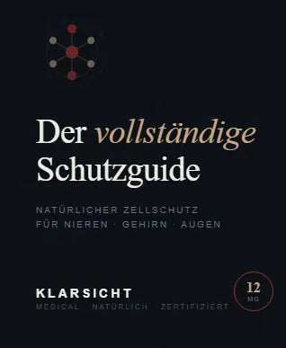 Dein Guide gegen Augenermüdung & Sehverlust